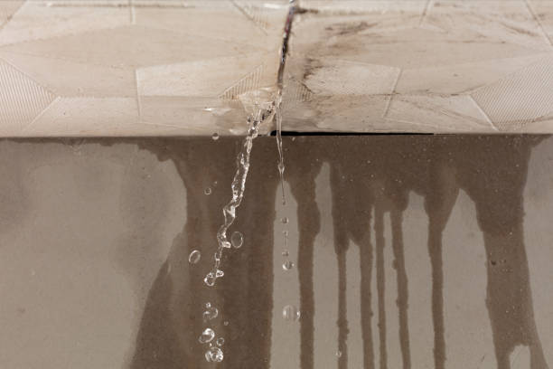 Professional Structural Drying technician working in Amanda, OH